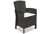 Lido Bica bruin technorattan fauteuil