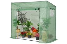Mini plastic kas voor tomaten 2 x 0,8 m Tuinpunt groen